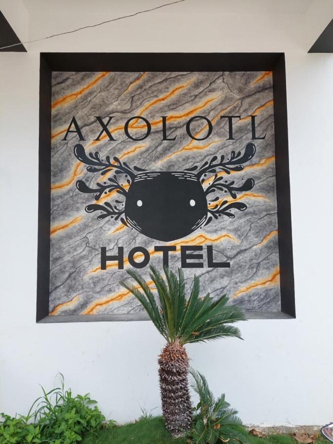 Hotel Axolotl ปูแอร์โตเอสกอนดิโด ภายนอก รูปภาพ